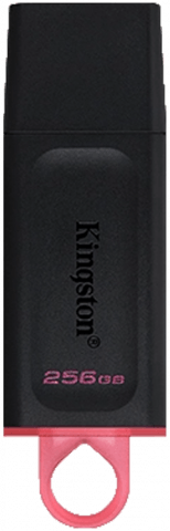 فلش مموری 256 گیگابایت Kingston مدل DataTraveler Exodia